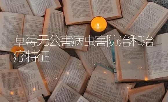 草莓无公害病虫害防治和治疗特征 | 特种种植