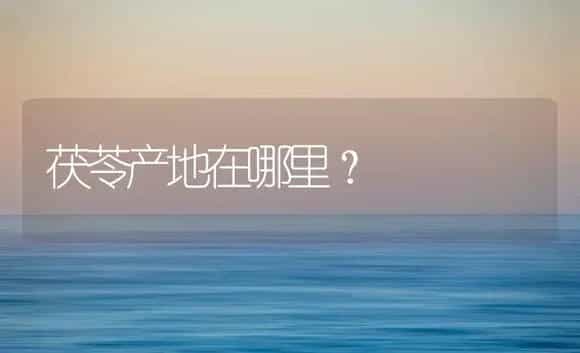 茯苓产地在哪里？ | 药材种植