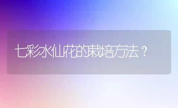 七彩水仙花的栽培方法？ | 绿植常识