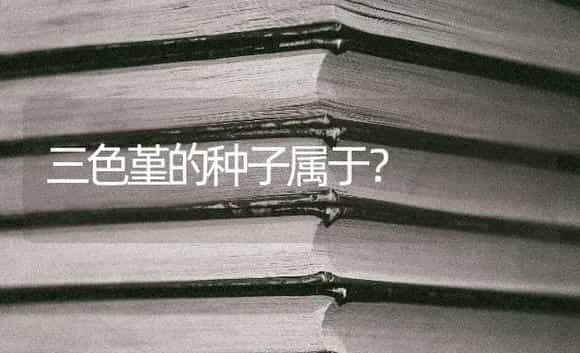 三色堇的种子属于？ | 绿植常识