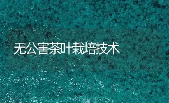 无公害茶叶栽培技术 | 农作物种植