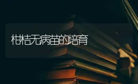 柑桔无病苗的培育 | 特种种植