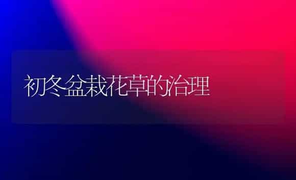 初冬盆栽花草的治理 | 家庭养花
