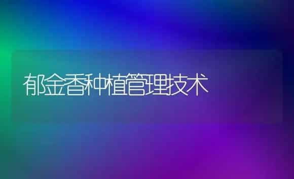 郁金香种植管理技术 | 家庭养花