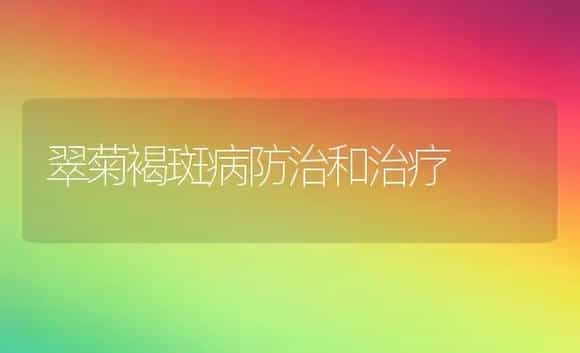 翠菊褐斑病防治和治疗 | 家庭养花