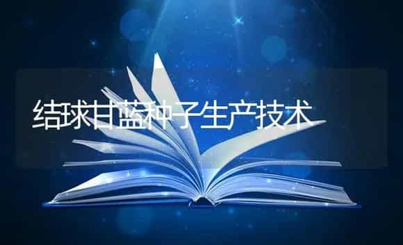 结球甘蓝种子生产技术 | 特种种植