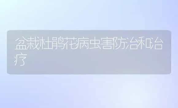 盆栽杜鹃花病虫害防治和治疗 | 家庭养花