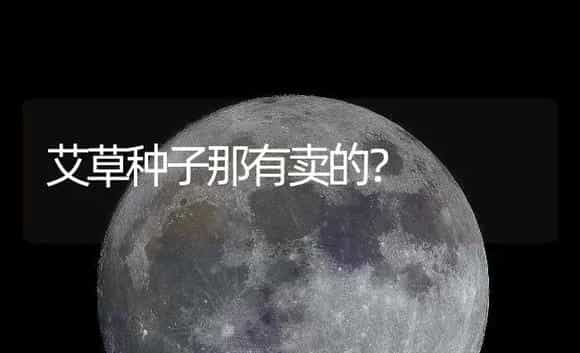 艾草种子那有卖的? | 药材种植