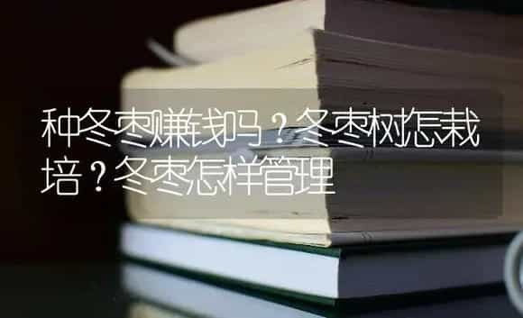 种冬枣赚钱吗？冬枣树怎栽培？冬枣怎样管理 | 果木种植