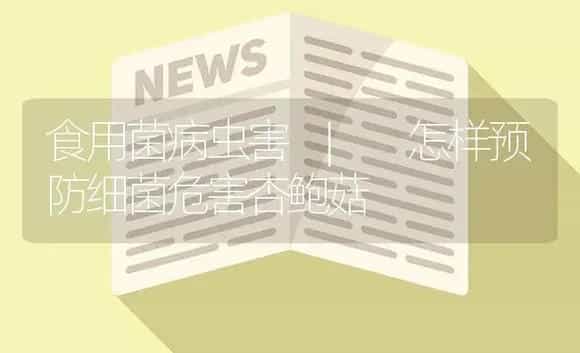怎样预防细菌危害杏鲍菇 | 菌菇种植