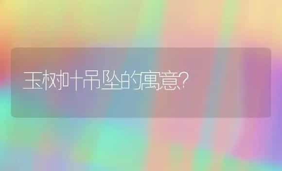 玉树叶吊坠的寓意？ | 多肉养殖
