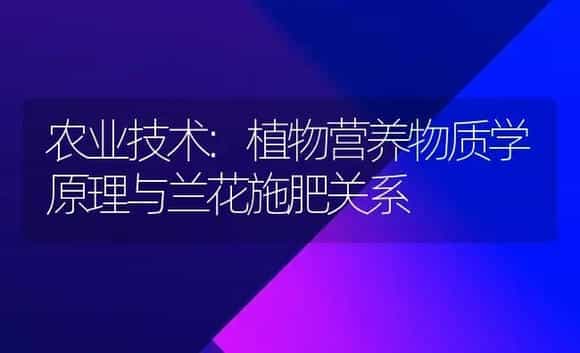 农业技术:植物营养物质学原理与兰花施肥关系 | 家庭养花