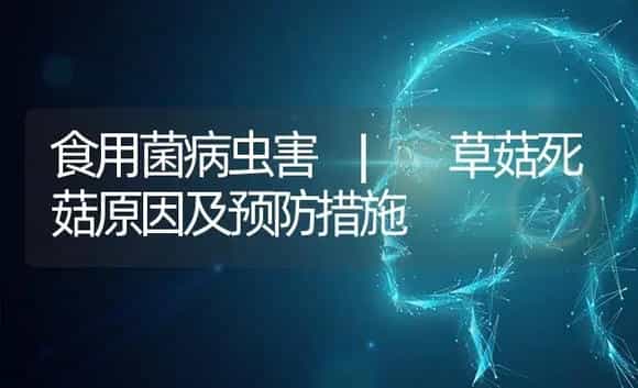 草菇死菇原因及预防措施 | 菌菇种植