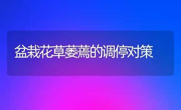 盆栽花草萎蔫的调停对策 | 家庭养花
