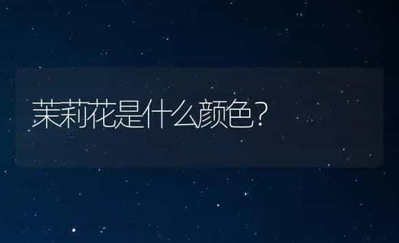 茉莉花是什么颜色？ | 绿植常识