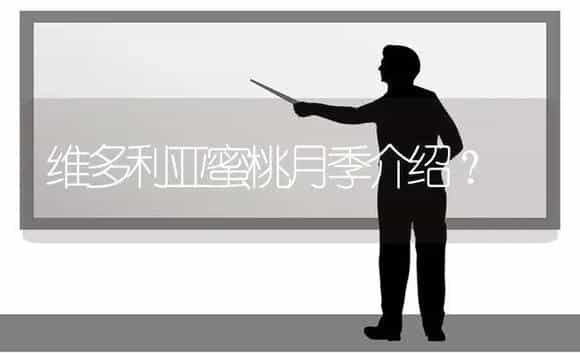 维多利亚蜜桃月季介绍? | 绿植常识