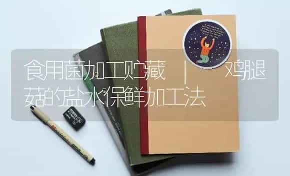 鸡腿菇的盐水保鲜加工法 | 菌菇种植