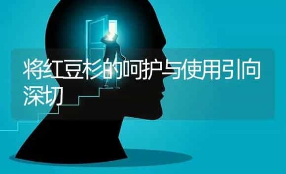 将红豆杉的呵护与使用引向深切 | 特种种植