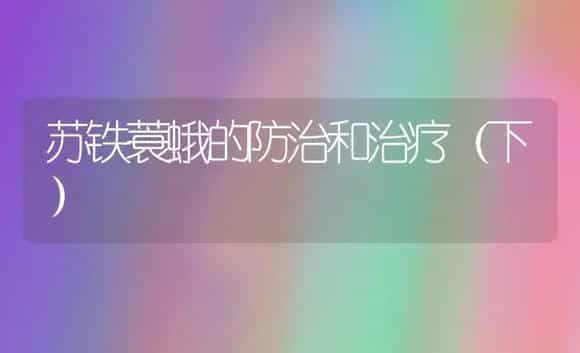 苏铁蓑蛾的防治和治疗（下） | 家庭养花