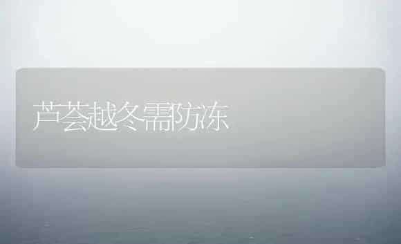 芦荟越冬需防冻 | 家庭养花