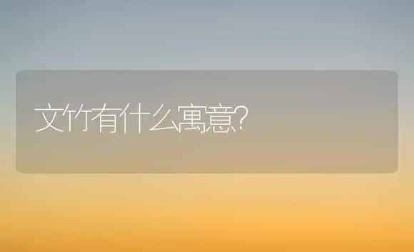 文竹有什么寓意？ | 家庭养花