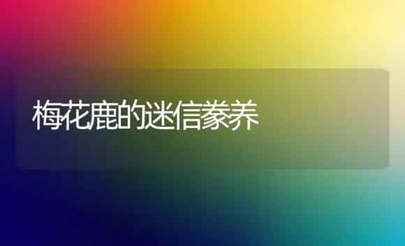 梅花鹿的迷信豢养 | 家庭养花