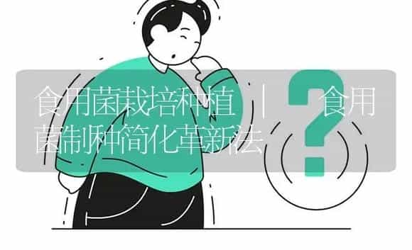食用菌制种简化革新法 | 菌菇种植