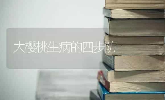 大樱桃生病的四步防 | 果木种植