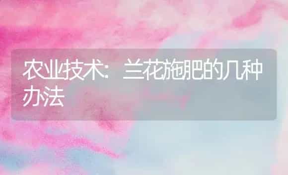 农业技术:兰花施肥的几种办法 | 家庭养花