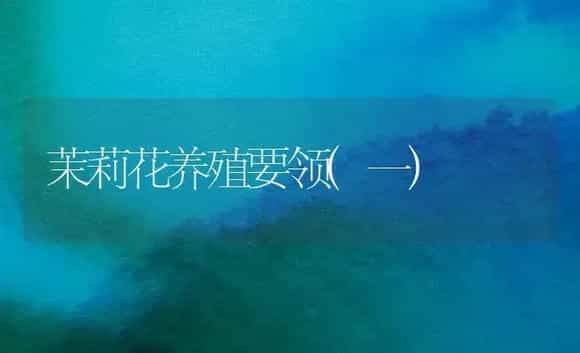 茉莉花养殖要领(一) | 家庭养花