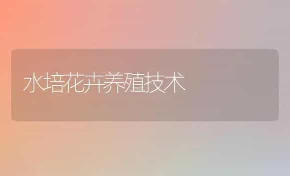 水培花卉养殖技术 | 家庭养花