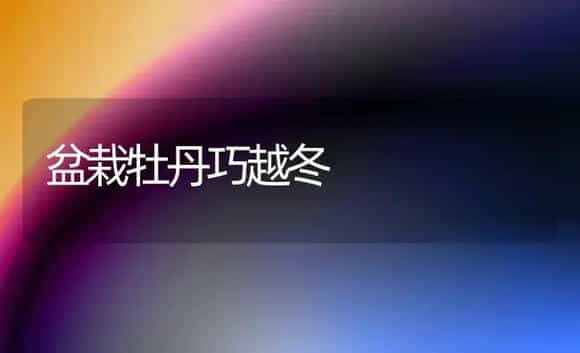 盆栽牡丹巧越冬 | 家庭养花