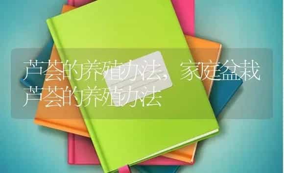 芦荟的养殖办法，家庭盆栽芦荟的养殖办法 | 特种种植