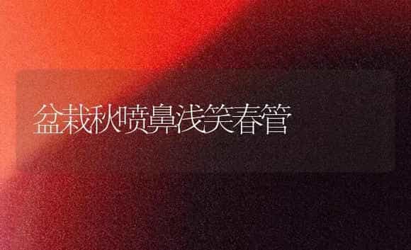 盆栽秋喷鼻浅笑春管 | 家庭养花