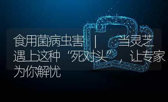滑子菇加工方法 | 菌菇种植