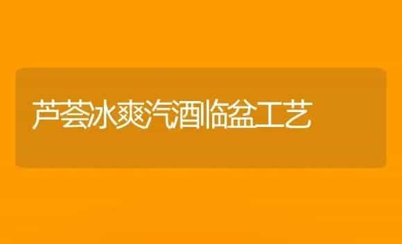 芦荟冰爽汽酒临盆工艺 | 家庭养花