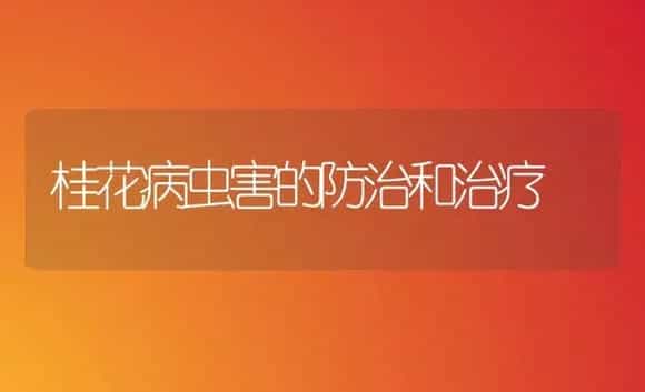 桂花病虫害的防治和治疗 | 家庭养花