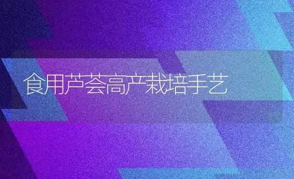 食用芦荟高产栽培手艺 | 家庭养花