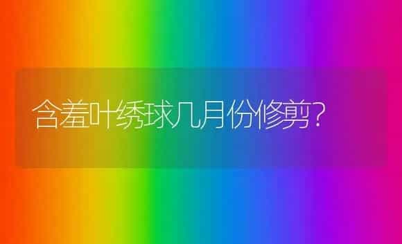 含羞叶绣球几月份修剪？ | 绿植常识