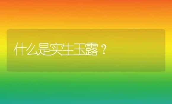 什么是实生玉露？ | 多肉养殖