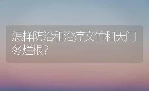 怎样防治和治疗文竹和天门冬烂根？ | 家庭养花