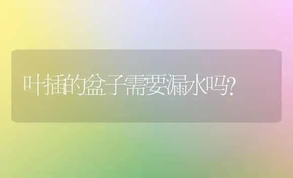 叶插的盆子需要漏水吗？ | 多肉养殖
