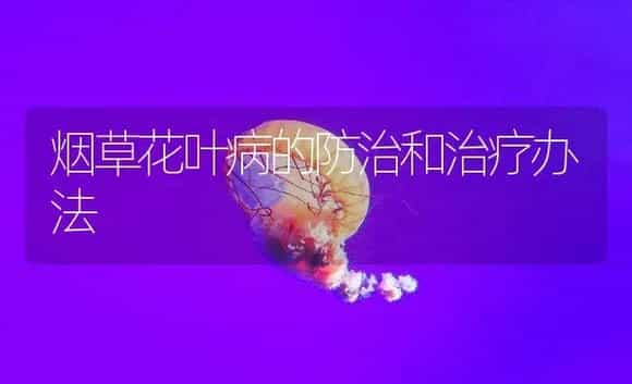烟草花叶病的防治和治疗办法 | 农作物种植