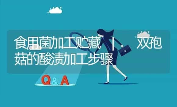 双孢菇的酸渍加工步骤 | 菌菇种植