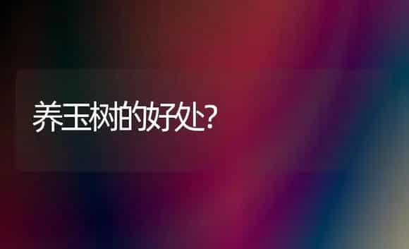 养玉树的好处？ | 多肉养殖