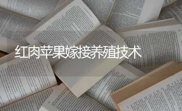 红肉苹果嫁接养殖技术 | 特种种植