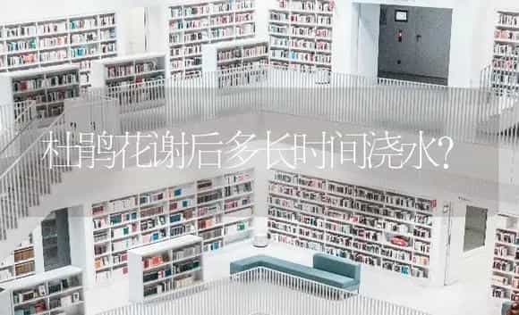 冬天绣球不落叶怎么回事？ | 绿植常识