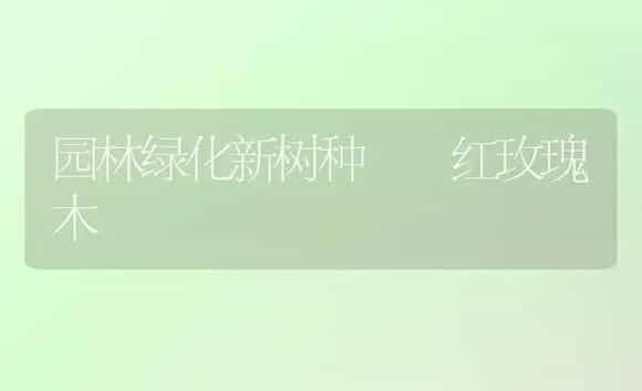 园林绿化新树种――红玫瑰木 | 家庭养花