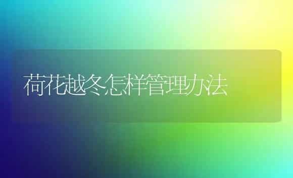 荷花越冬怎样管理办法 | 家庭养花