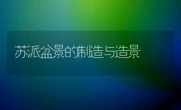 苏派盆景的制造与造景 | 家庭养花